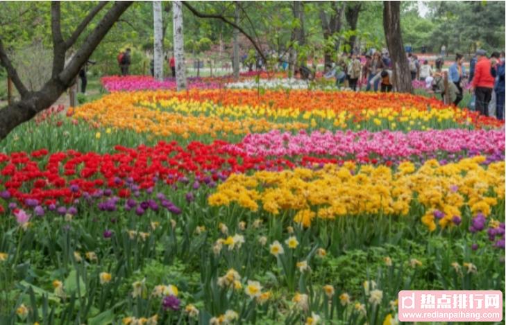 中国十大植物园排名