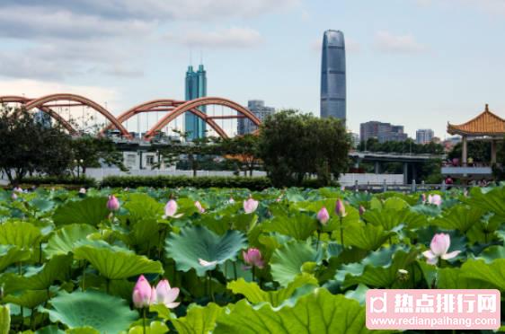 深圳十大免费景点排行