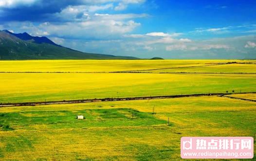 花海排行榜前十名