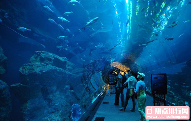 世界十大水族馆排名 上海海洋水族馆位列第三